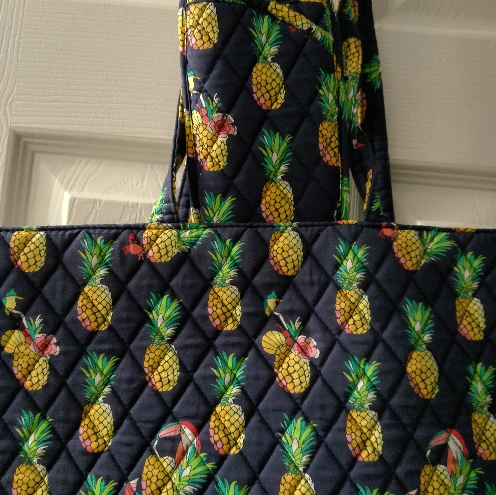 This is a Vera Bradley bag comes with an additional case.